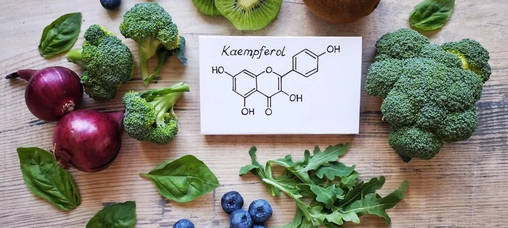 Understanding Ingredients: Active vs Inactive Ingredients