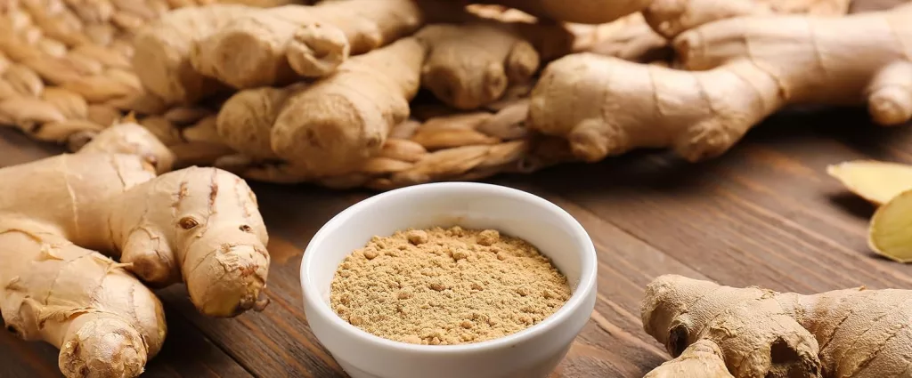 Comparison chart of herbal extract potency vs raw powder bioavailability