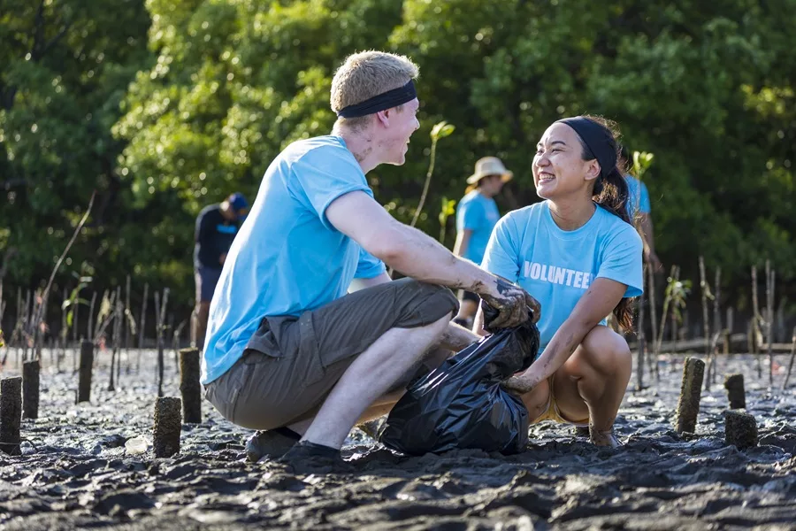 Team of young and diversity volunteer worker group enjoy charitable social work outdoor in cleaning up garbage project at the mangrove forest