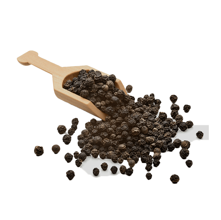 Black Pepper Extract (Piper nigrum)