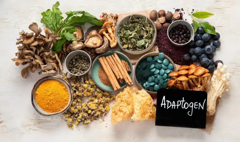 Adaptogens & Stress: Natural Brain Supplements Guide
